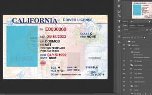 california driver license usa