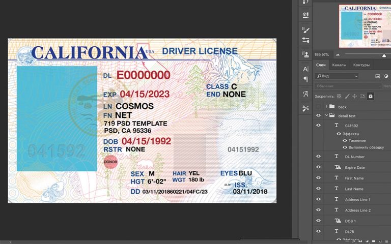 California Driver License USA