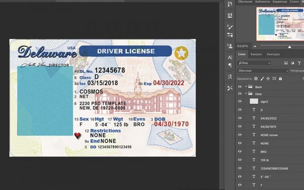 delaware driver license