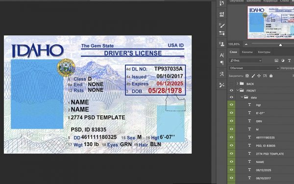idaho driver license USA