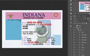 indiana driver license usa