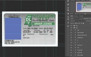 mississippi driver license usa
