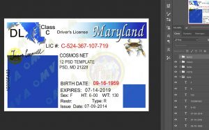 maryland driver license USA