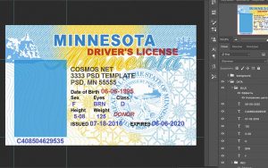 minnesota driver license usa