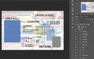 north carolina driver license usa