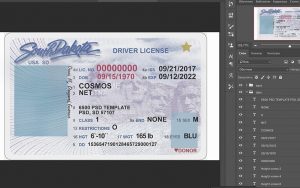 south dakota driver license usa