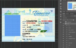 tennessee driver license usa