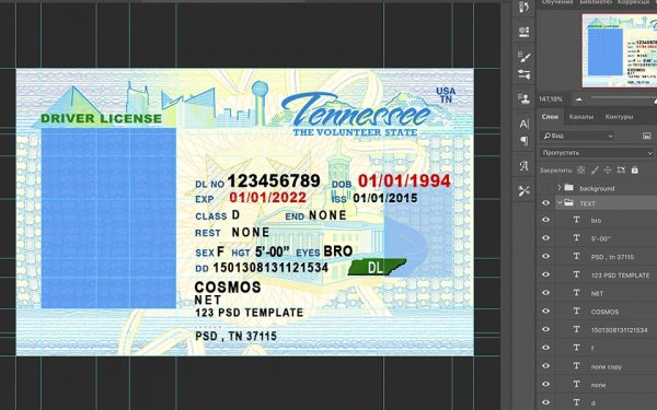 tennessee driver license usa