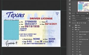 texas driver license usa