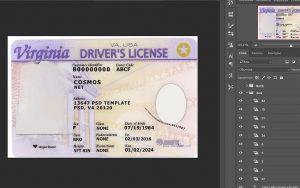 virgina driver license usa
