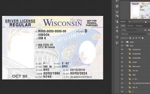 wisconssin driver license usa
