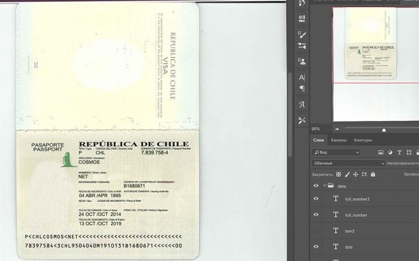 chile passport