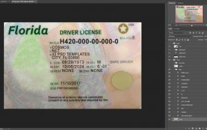 florida driver license