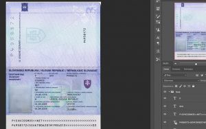 slovakia passport