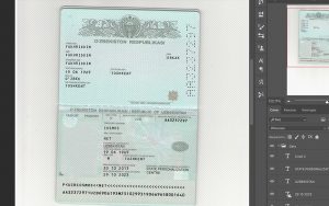 uzbekistan passport