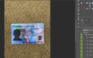 florida driver license new back